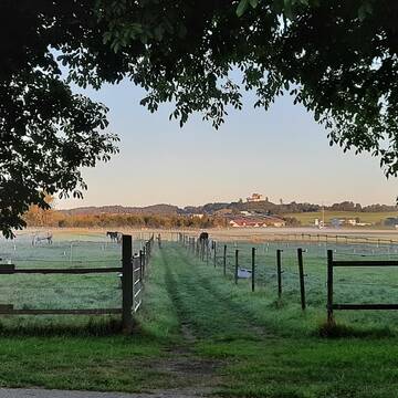 Bild: Stall in  Waldburg