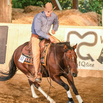 Bild: Stall in  Hattenhofen