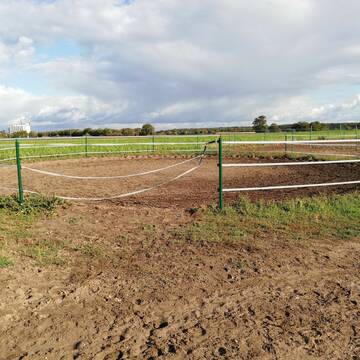 Bild: Stall in  Graben-Neudorf