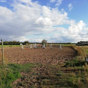 Bild: Stall in  Graben-Neudorf