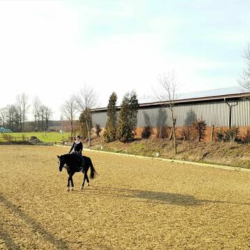 Bild: Stall in  Dülmen