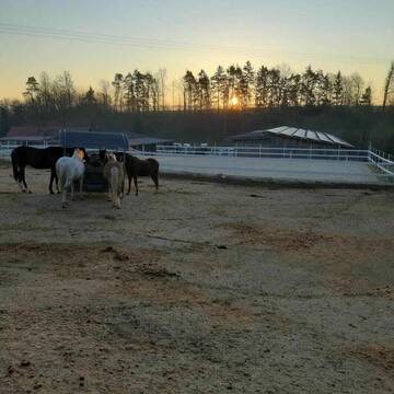 Bild: Stall in  Creußen