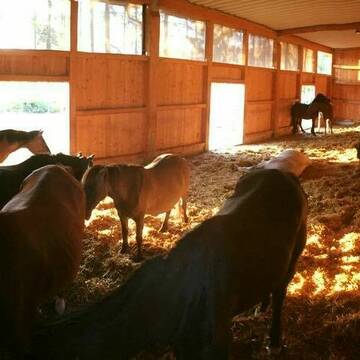Blick in eine unserer Liegeflächen