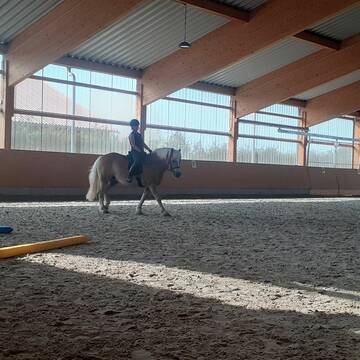 Bild: Stall in  Neuthard