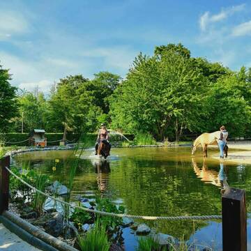 Bild: Stall in  Roggendorf/Thenhoven