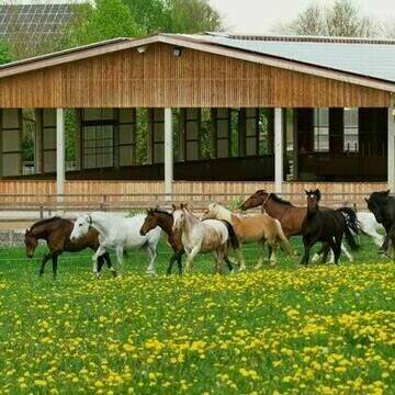 Bild: Stall in  Vaterstetten