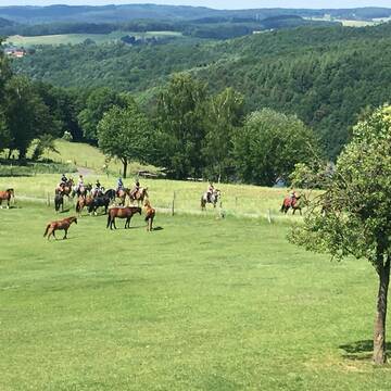 Die Wallachherde und Gemeinschaftsausritt