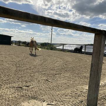 Der Aussenplatz mit Kirchhellener Boden