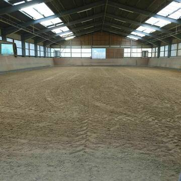 Bild: Stall in  Großholthausen