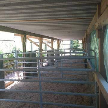 Bild: Stall in  Wies