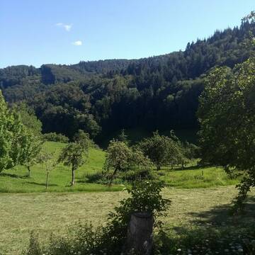 Bild: Stall in  Wies