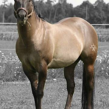 Bild: Service in  Grasbrunn