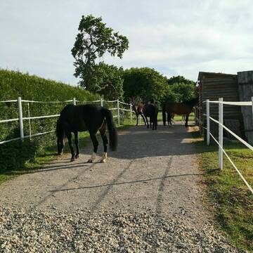 Brechsand- und Rundkiesbelag vor Integrationsboxen