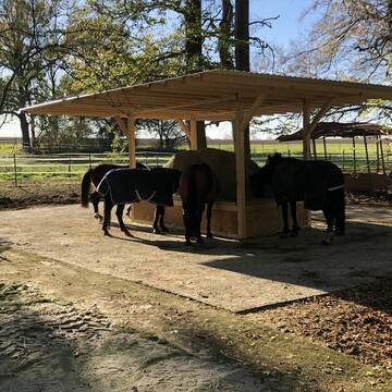 Bild: Stall in  Titz