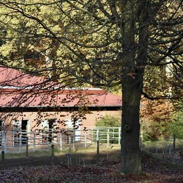 Bild: Stall in  Asendorf