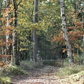 Hier geht´s zur Erholung