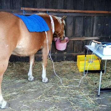 Bild: Service in  Berklingen