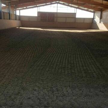 Bild: Stall in  Renningen