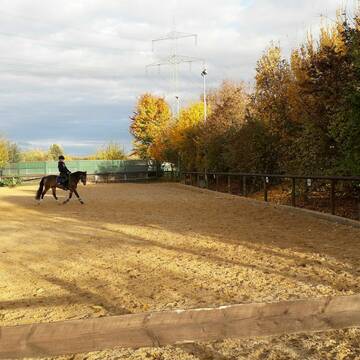 Reitplatz (im Hintergrund Longierzirkel)