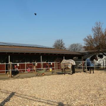 Auslauf und Außenboxen