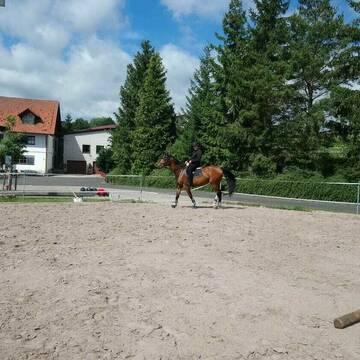 Bild: Stall in  Ibind