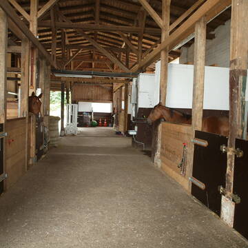 Helle Boxen im Stall 1 mit 6 Boxen