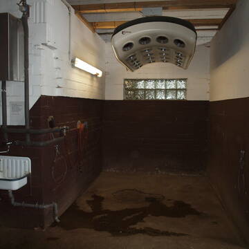 Solarium und Waschplatz im Stall 3