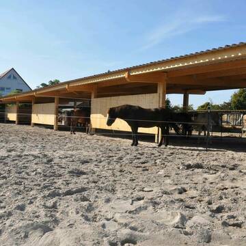 Bild: Stall in  Haßloch