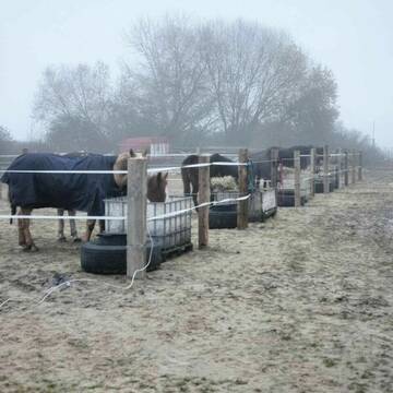 Winter koppel mit heu und Wasser