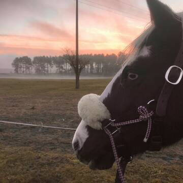 Bild: Service in  Mirow