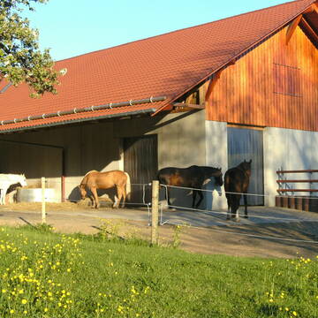 Bild: Stall in  Berglen