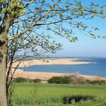 Bild: Stall in  Barth