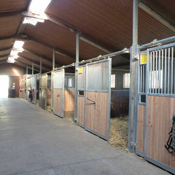 Bild: Stall in  Barth