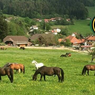 Bild: Stall in  Marzell