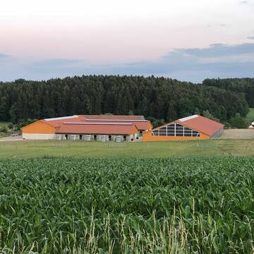 Bild: Stall in  Allenberg