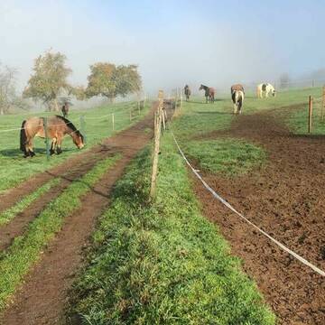 Bild: Stall in  Bexbach