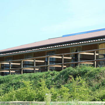 Bild: Stall in  Birkenbeul