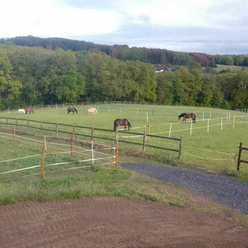 Bild: Stall in  Birkenbeul