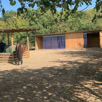 Bild: Stall in  Waldalgesheim