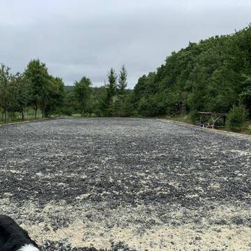 Bild: Stall in  Waldalgesheim