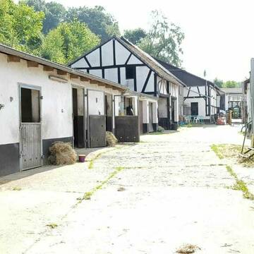 Bild: Stall in  Holthausen