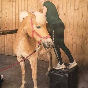 Bild: Service in  Neubiberg