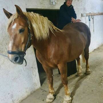 Bild: Service in  Neubiberg