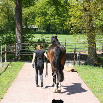 Alle Laufwege befästigt