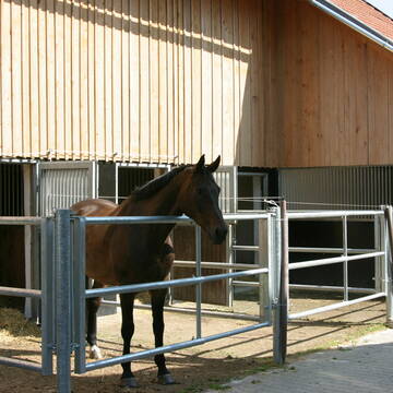 Bild: Stall in  Sonnenham