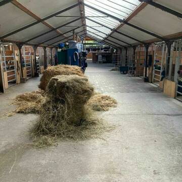 Bild: Stall in  Sandhofen-Nord