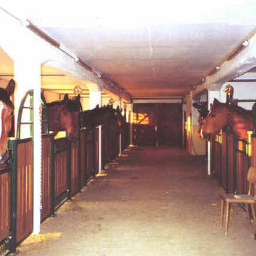 Bild: Stall in  Billerbeck