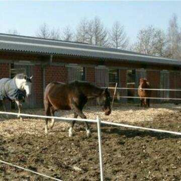 Bild: Stall in  Billerbeck