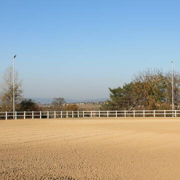 Bild: Stall in  Hochheim