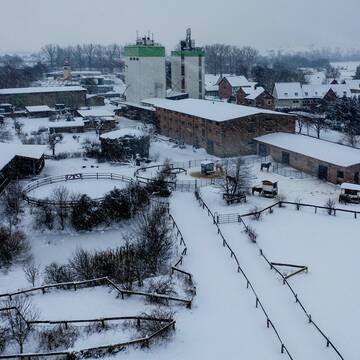 Bild: Stall in  Immendorf